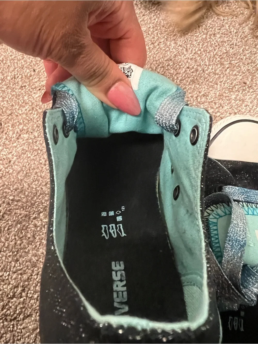 Converse brand new
